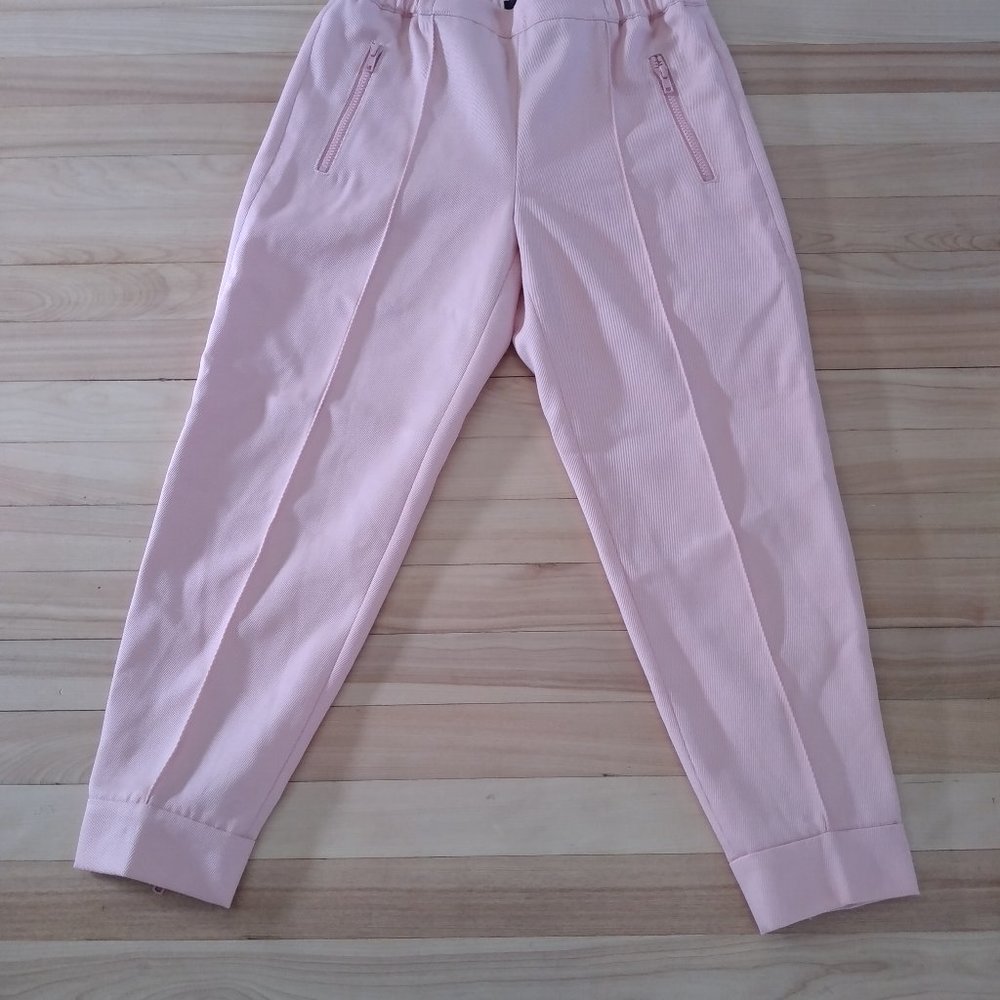 J Crew Pink Crop/Ankle pant 4P